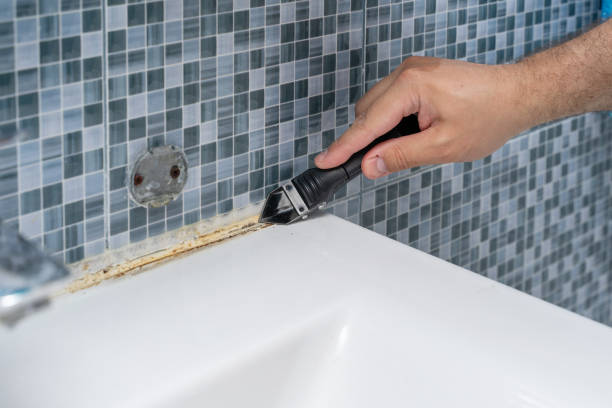 Best Fast Mold Removal  in Troy, MI